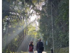 -孔雀湖生态旅游区