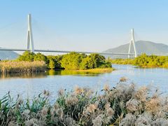 -芒洲湿地公园