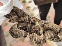 -白草畔自然风景区