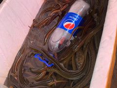 -盘龙黄鳝(盘龙居店)