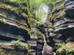 -梭布垭石林景区