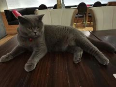 -么么咖啡(燕郊店)