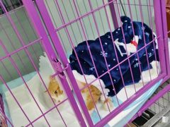 -达爱动物医院·犬猫分区·CT·复杂眼科(远洋山水分院)