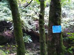 -陕西省红河谷森林公园