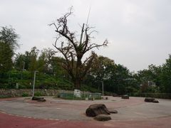 -金海湾滨江公园