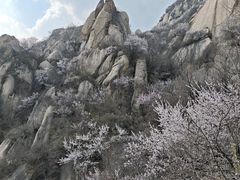 -北京凤凰岭