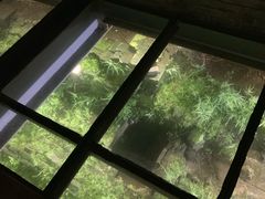 -东关历史文化旅游区-东门遗址