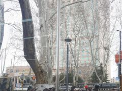 -小马牛肉面·牛骨熬制(南京博物院店)