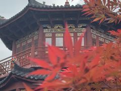 -姑婆山旅游区