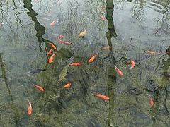 -水磨沟公园