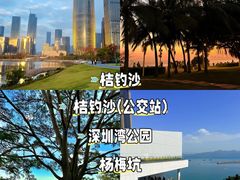 -东方棕泉·洗浴·按摩·美食国际水疗会所(福田店)