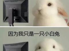 -派联宠物医院·24h·CT·异宠