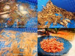 -乔哥铭洋海鲜自助(皇城恒隆广场店)