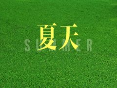 -渌洋湖湿地公园