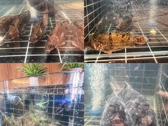 -儒林第·家常菜(科学大道店)