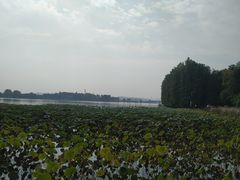 -东湖落雁景区
