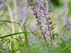 -浙江万里学院(钱湖校区)