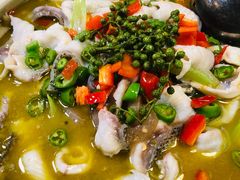 青锅花椒鱼-重庆鸡公煲·青锅花椒鱼(牡丹江路店)
