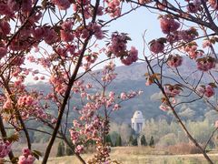 -威海大乳山景区