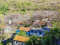 -灵山岛风景区