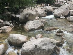 -青峰峡国家森林公园