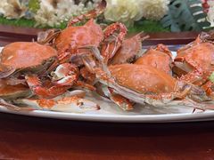 -和源祥·日照菜扛把子(万平口一店)