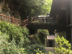 -十八棵（老龙井）御茶园(老龙井店)