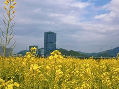 -光明小镇欢乐田园