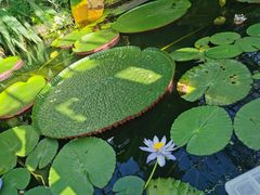 -国家植物园南园