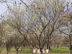 -东升八家郊野公园