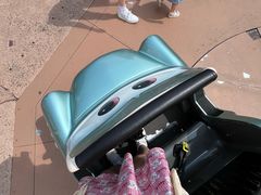 -巴黎迪士尼乐园