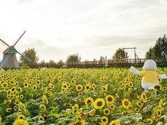 -横店电影城横影巨幕S-PLUS(港悦广场店)