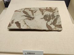 -大连金州博物馆