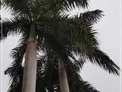 -广州市白云山风景名胜区