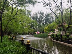 -太阳宫公园
