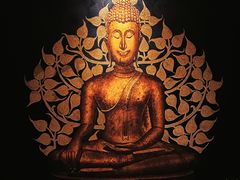 -菩泰·泰式草本按摩SPA(国大城市广场店)