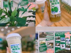 -SENTEA森茶(麦地丽日店)