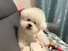 -美联众合动物医院·24h京西诊疗中心