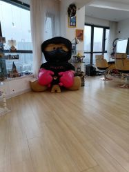 -E.L.K造型momopark店