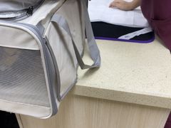 -美联众合动物医院·24h转诊中心