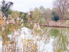 -梁鸿国家湿地公园