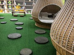 -东方之珠洗浴休闲广场(南开店)