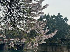 -成都市活水公园