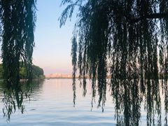 -苏堤停车场