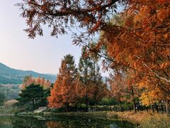 -国家植物园南园