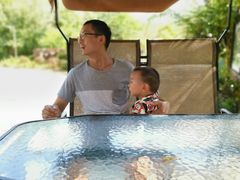 -合肥滨湖国家森林公园