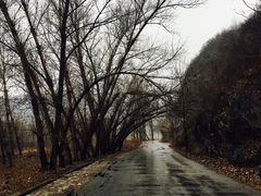 -白河湾生态旅游一条川