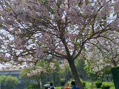 -农园餐厅(北京大学店)