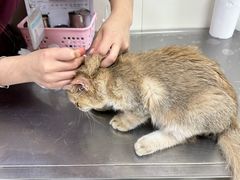 -美联众合动物医院·24h京西诊疗中心