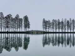 -东湖生态旅游风景区
